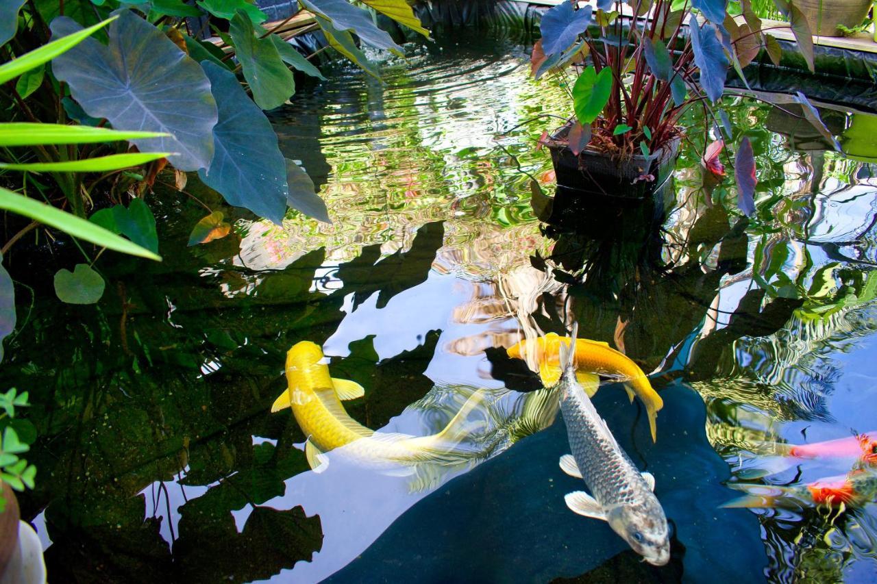 Casa Babalahy Bed & Breakfast Saint Pierre Bagian luar foto